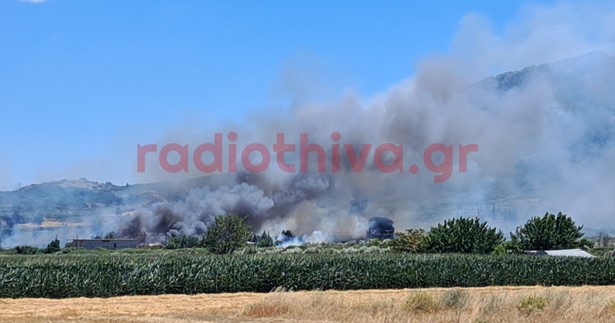 Ξέσπασε φωτιά στην Πέτρα Αλιάρτου - Στο σημείο εναέρια μέσα