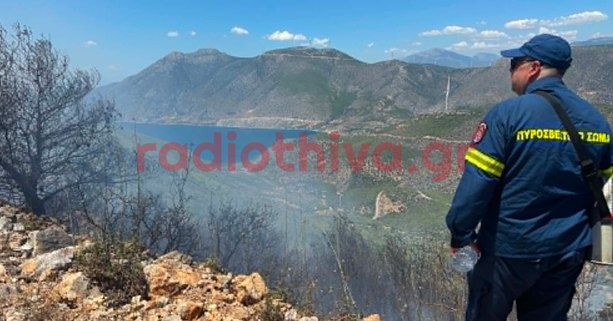 Υπό πλήρη έλεγχο η πυρκαγιά στον Αγιο Βασίλειο
