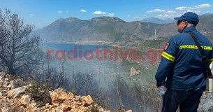 Υπό πλήρη έλεγχο η πυρκαγιά στον Αγιο Βασίλειο