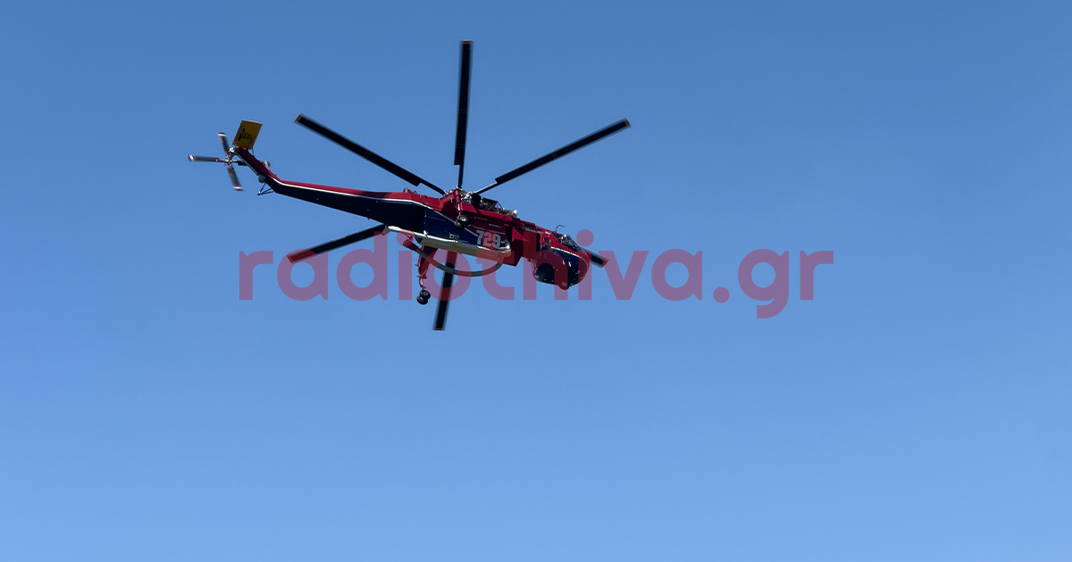 Συνεχίζεται και σήμερα ο πολύ υψηλός κίνδυνος πυρκαγιάς στη Βοιωτία - Έκκληση για αυξημένη προσοχή