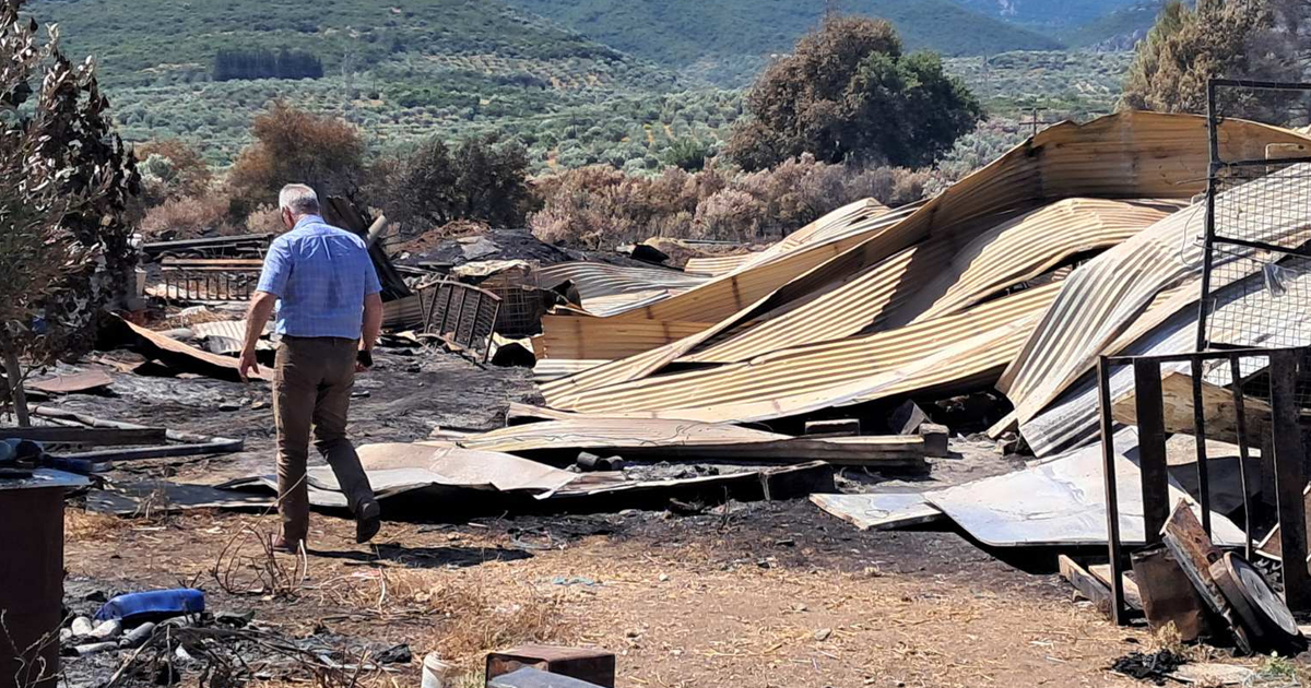 Aμεση αναγγελία ζημιών απο το δήμο Αλιάρτου-Θεσπιέων για την καταγραφή ζημιών απο την πυρκαγιά