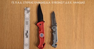 4 συλλήψεις για περιστατικό με οπαδική βία στην Εύβοια