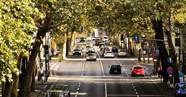Την ανάγκη Εθνικού Σχεδίου για την ορθολογική διαχείριση των Αστικών Δέντρων τονίζει η Γιώτα Πούλου