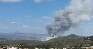 Μεγάλη φωτιά στην Οινόη του Δήμου Μάνδρας: Στάλθηκε 112, επιχειρούν 140 πυροσβέστες και 12 εναέρια μέσα, δείτε βίντεο