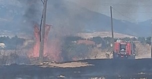 Ξέσπασε φωτιά στο Τάχι Θήβας - Αμεση παρέμβαση από την Πυροσβεστική Ξέσπασε φωτιά στο Τάχι Θήβας - Αμεση παρέμβαση από την Πυροσβεστική