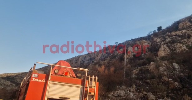 Ξέσπασε φωτιά στον Ταρσό Βοιωτίας