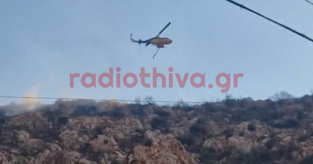 Ρίψεις εναέριων μέσων στην πυρκαγιά στο Ταρσό Βοιωτίας