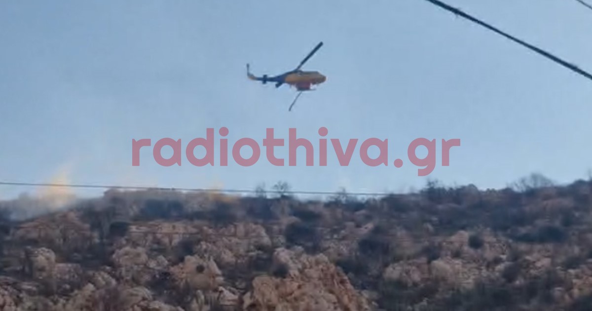 Υπό έλεγχο τέθηκε η φωτιά στον Ταρσό Βοιωτίας
