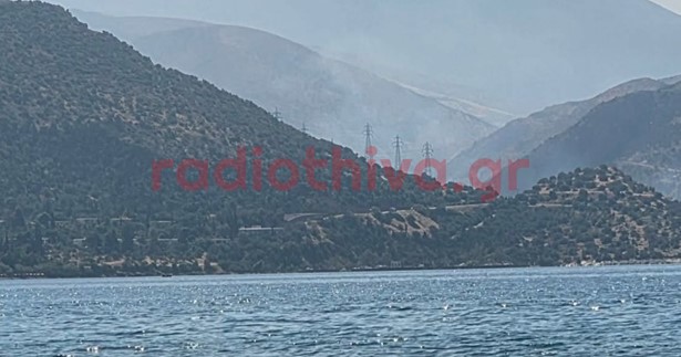 Ξέσπασε φωτιά στο Κυριάκι Βοιωτίας - Στο σημείο σπεύδουν εναέρια μέσα