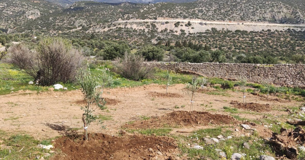 Σεραφείμ Δέδες: Παραλαβή Ατομικών Φακέλων ΕΛΓΑ για τις ζημιές από την πυρκαγιά του Αυγούστου 2023
