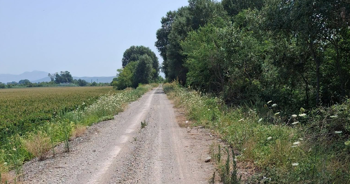 Συνολικά 2.5 εκατ. ευρώ για την αγροτική οδοποιία στο Δήμο Αλιάρτου-Θεσπιέων