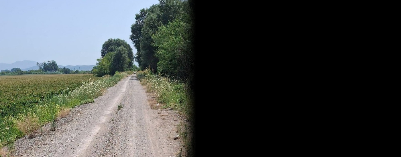 Συνολικά 2.5 εκατ. ευρώ για την αγροτική οδοποιία στο Δήμο Αλιάρτου-Θεσπιέων