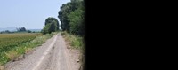 Συνολικά 2.5 εκατ. ευρώ για την αγροτική οδοποιία στο Δήμο Αλιάρτου-Θεσπιέων