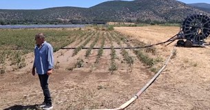 Χαλάζι καταστροφής σε Λιβαδεια και Ορχομενο - Αμεση καταγραφή των ζημιών ζητούν οι παραγωγοί Χαλάζι καταστροφής σε Λιβαδεια και Ορχομενο - Αμεση καταγραφή των ζημιών ζητούν οι παραγωγοί
