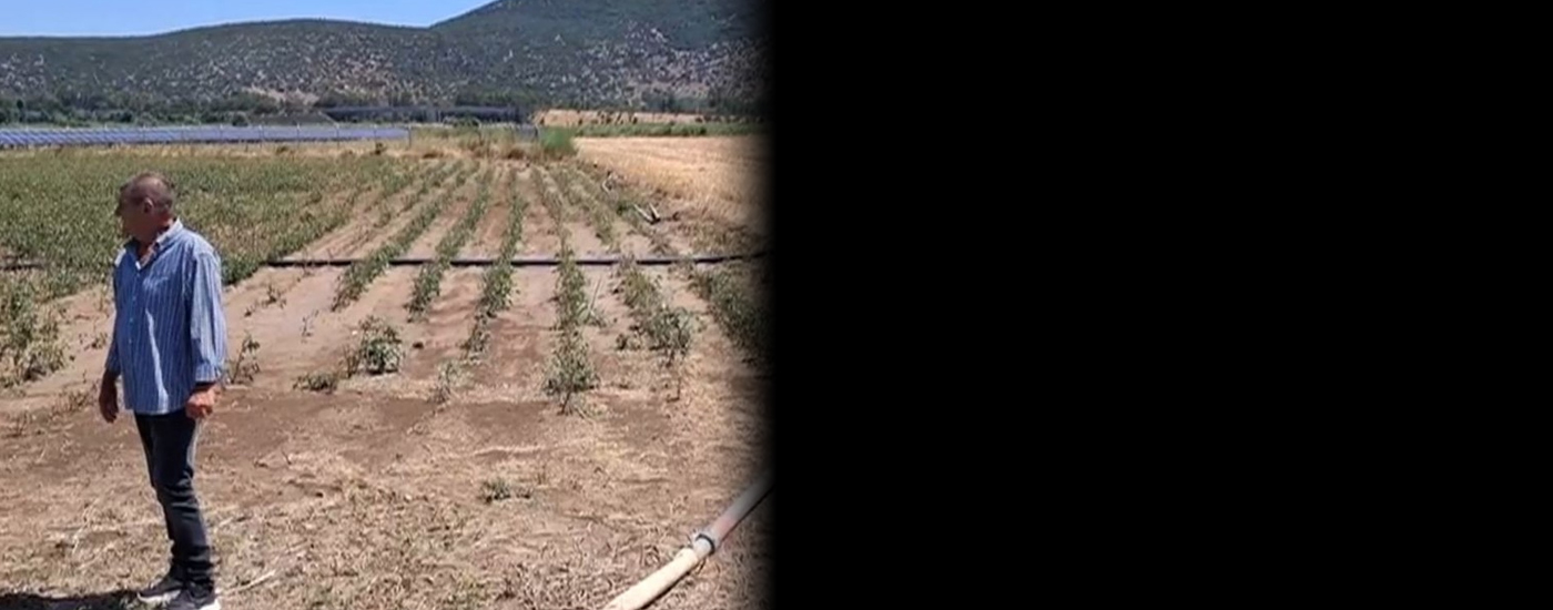 Χαλάζι καταστροφής σε Λιβαδεια και Ορχομενο - Αμεση καταγραφή των ζημιών ζητούν οι παραγωγοί