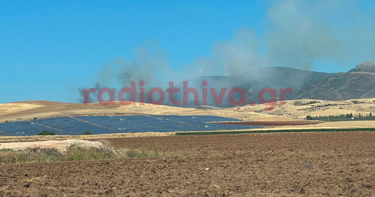 Έκτακτο: Ξέσπασε φωτιά και στο Μουρίκι Βοιωτίας
