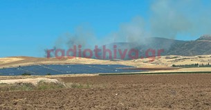 Έκτακτο: Ξέσπασε φωτιά και στο Μουρίκι Βοιωτίας