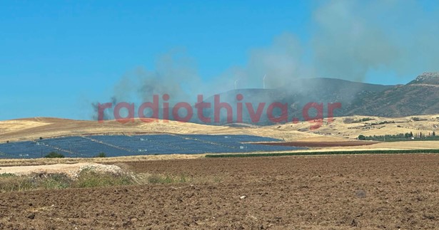 Έκτακτο: Ξέσπασε φωτιά και στο Μουρίκι Βοιωτίας