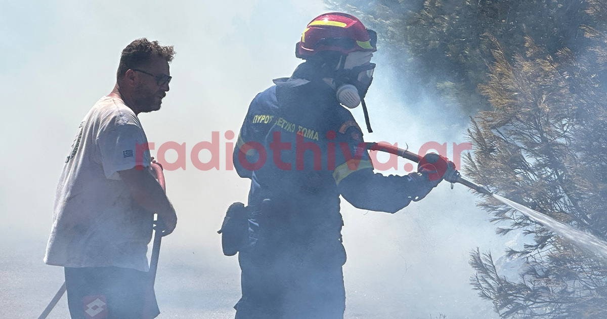 325 πυροσβέστες επιχειρούν σήμερα στις πυρκαγιές σε Αγιο Βασίλη και Ξηρονομή