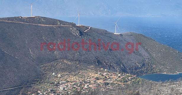 Εικόνες βιβλικής καταστροφής από την πυρκαγιά στον Αγιο Βασίλη και στο Καλαμάκι
