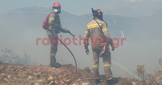 Στο Νοσοκομείο Θήβας δύο πυροσβέστες από τη μάχη με τις φλόγες στο Πόρτο Γερμενό - Ο ένας υπέστη έμφραγμα
