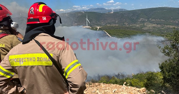 Μητσοτάκης για τις πυρκαγιές: Αμεση καταγραφή των ζημιών και στήριξη των πληγέντων