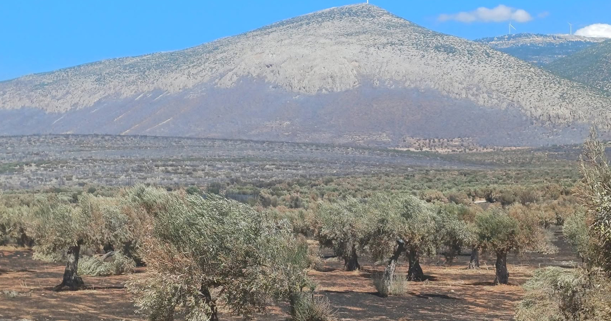Θωμάς Κιούσης: Στης Βοιωτίας την ολόμαυρη ράχη
