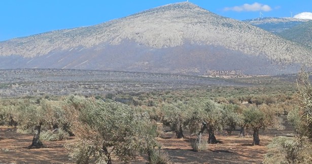 Θωμάς Κιούσης: Στης Βοιωτίας την ολόμαυρη ράχη