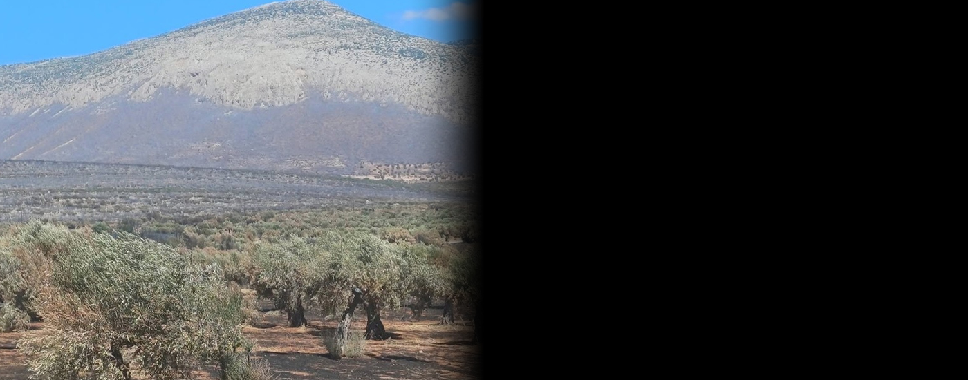 Θωμάς Κιούσης: Στης Βοιωτίας την ολόμαυρη ράχη