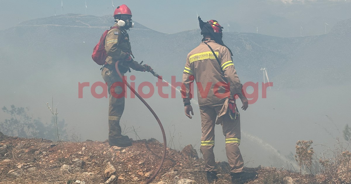 Ο Νίκος Ανδρουλάκης επισκέπτεται σήμερα τις περιοχές της Βοιωτίας που επλήγησαν από τη πυρκαγιά