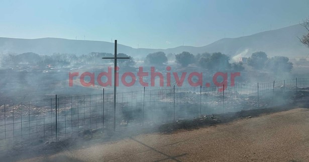Ο Στάθης Κεφαλάς μίλησε στο «Ράδιο Θήβα 97,5FM» για την καταστροφική πυρκαγιά στη Ξηρονομή - Ανυπολόγιστη η ζημιά