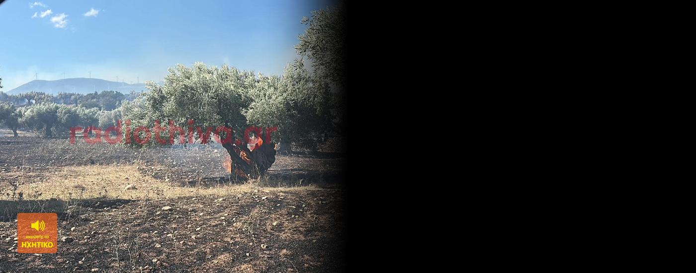Ο Στάθης Κεφαλάς μίλησε στο «Ράδιο Θήβα 97,5FM» για την καταστροφική πυρκαγιά στη Ξηρονομή - Ανυπολόγιστη η ζημιά