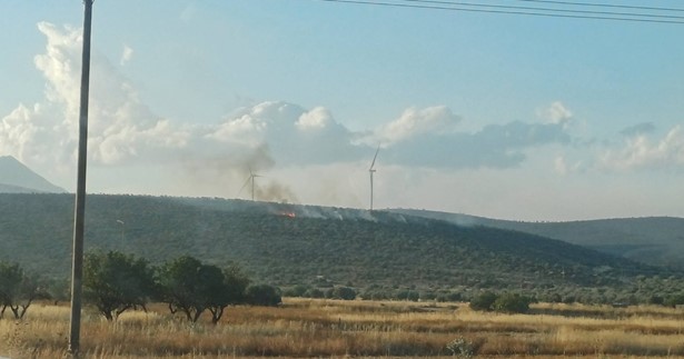 Από την «πράσινη» μετάβαση στη μαύρη στάχτη και την οικολογική καταστροφή