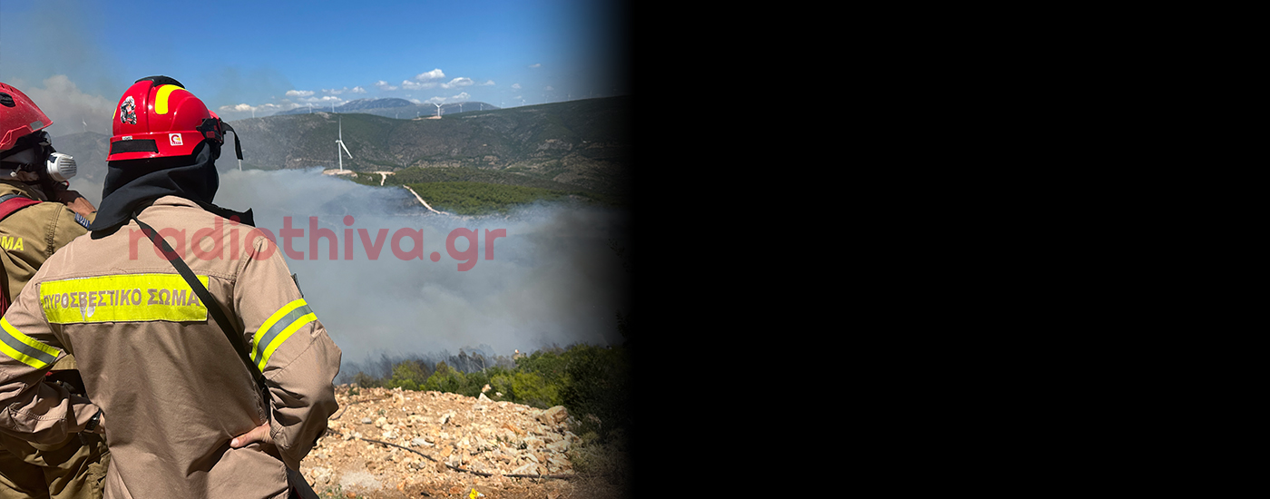 Ξεκίνησαν οι Δηλώσεις Αποζημίωσης στο Δήμο Θηβαίων για τους πληγέντες από την πυρκαγιά - Όλα όσα πρέπει να ξέρετε 