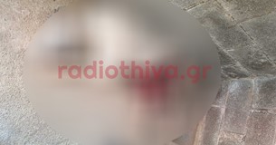 Λύκοι επιτέθηκαν και κατασπάραξαν σκύλο στο Καναβάρι Θήβας