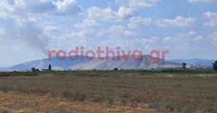 Έκτακτο: Ξέσπασε φωτιά μεταξύ Λιβαδειάς και Ορχομενού Έκτακτο: Ξέσπασε φωτιά μεταξύ Λιβαδειάς και Ορχομενού