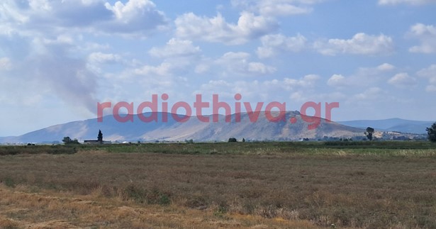 Έκτακτο: Ξέσπασε φωτιά μεταξύ Λιβαδειάς και Ορχομενού