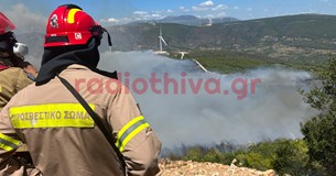 Βοιωτία: Τι έδειξε η αυτοψία στο σημείο που ξεκίνησε η φωτιά Βοιωτία: Τι έδειξε η αυτοψία στο σημείο που ξεκίνησε η φωτιά