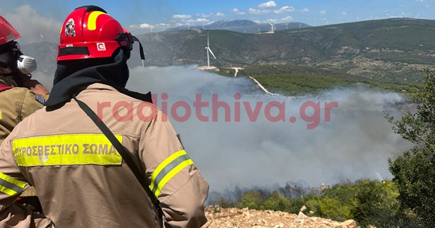 Βοιωτία: Τι έδειξε η αυτοψία στο σημείο που ξεκίνησε η φωτιά