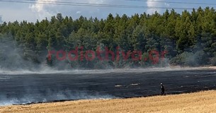 Έκτακτο: Ξέσπασε πυρκαγιά έξω από την Θήβα - Μεγάλη κινητοποίηση από τη Πυροσβεστική - Σηκώθηκαν εναέρια μέσα