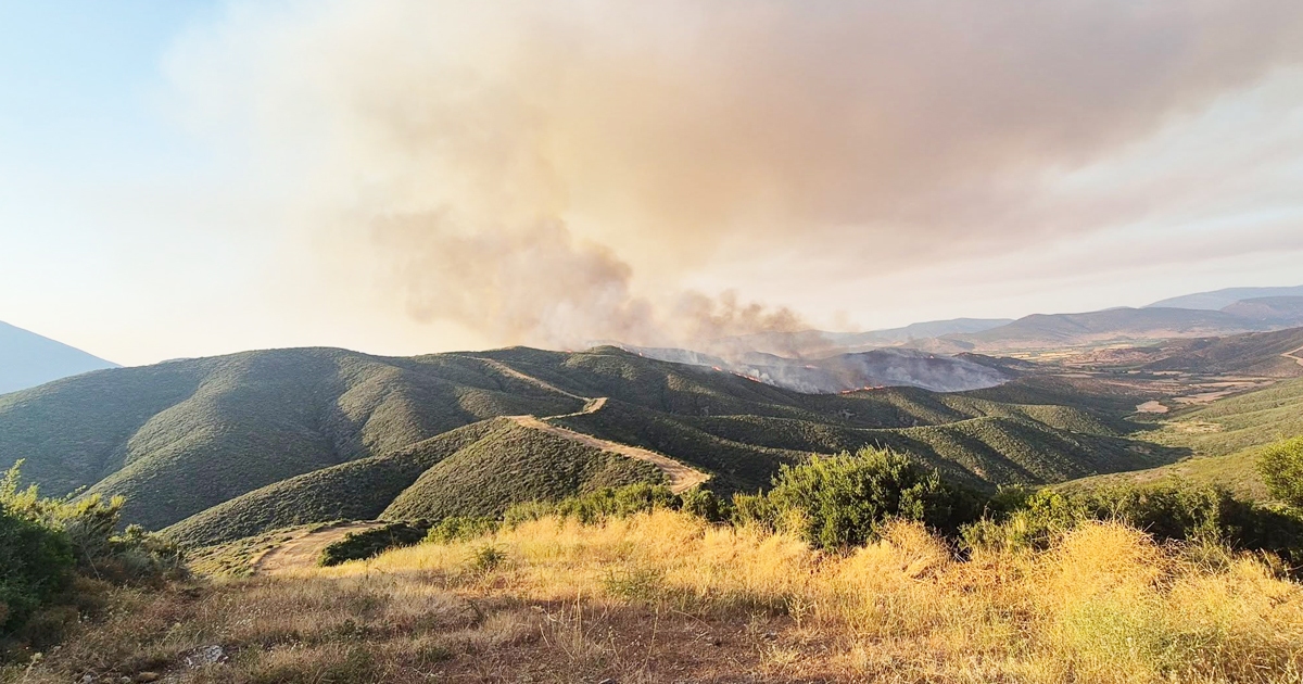 Χωρίς ενεργά μέτωπα οι πυρκαγιές σε Αγιο Βλάση - Τσουκαλάδες και Στεφάνη Δερβενοχωρίων
