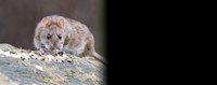 Γιώργος Μουλκιώτης: «Οι παραγωγοί της Κωπαΐδας χρειάζονται άμεση δράση, συγκεκριμένο σχέδιο και αποζημιώσεις. Όχι άλλη μετάθεση ευθυνών.» Γιώργος Μουλκιώτης: «Οι παραγωγοί της Κωπαΐδας χρειάζονται άμεση δράση, συγκεκριμένο σχέδιο και αποζημιώσεις. Όχι άλλη μετάθεση ευθυνών.»