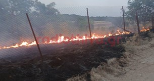 Έκτακτο: Ξέσπασε φωτιά έξω από το Νεοχωράκι Θήβας