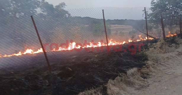 Έκτακτο: Ξέσπασε φωτιά έξω από το Νεοχωράκι Θήβας