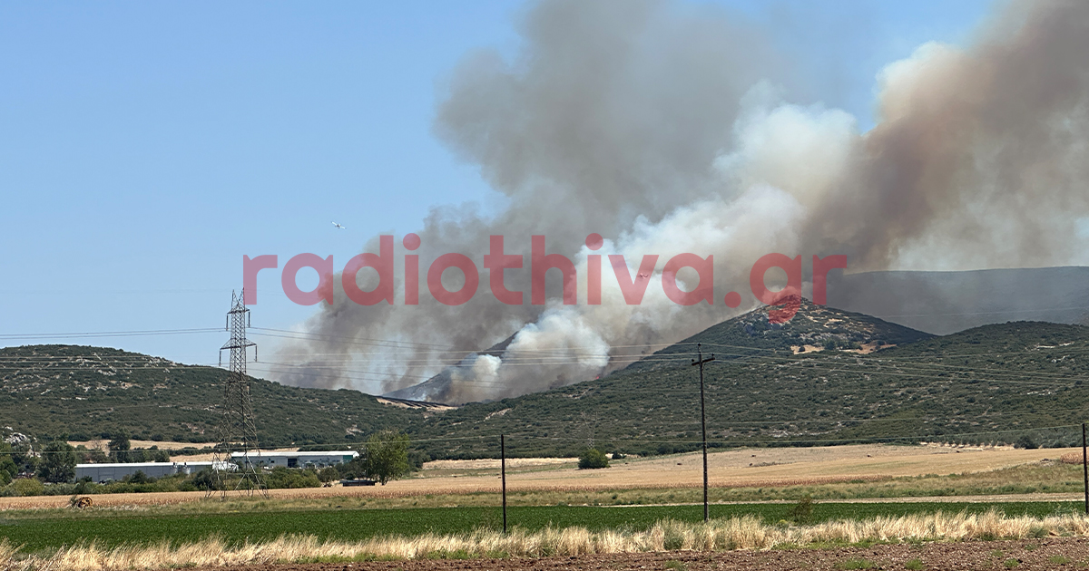 Έκτακτο: Μεγάλη πυρκαγιά ξέσπασε έξω από τη Θήβα - Σπεύδουν 8 αεροσκάφη στο σημείο