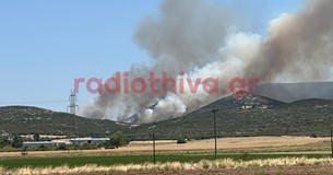 Έκτακτο: Μεγάλη πυρκαγιά ξέσπασε έξω από τη Θήβα - Σπεύδουν 8 αεροσκάφη στο σημείο Έκτακτο: Μεγάλη πυρκαγιά ξέσπασε έξω από τη Θήβα - Σπεύδουν 8 αεροσκάφη στο σημείο