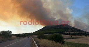 Έκτακτο: Δύο συλλήψεις για την μεγάλη πυρκαγιά στη Θήβα - Κάηκαν 3.000 στρέμματα