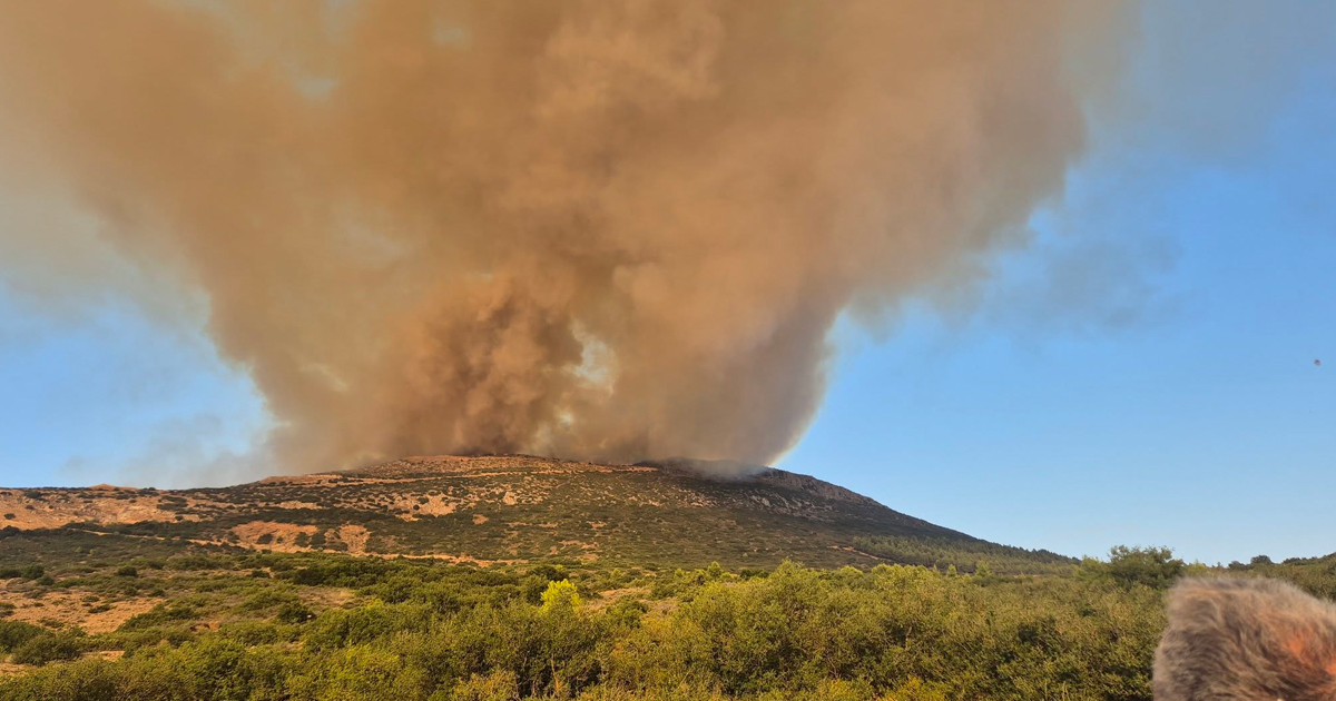 Χωρίς ενεργό μέτωπο η πυρκαγιά στο Μύτικα Θηβών