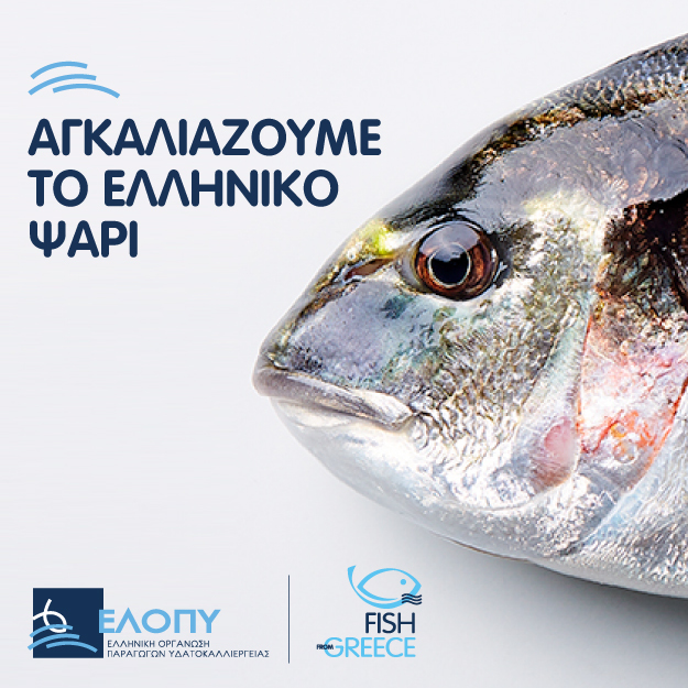 ΕΛΟΠΥ