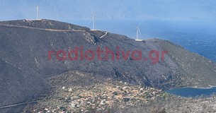 Νέα αυτοψία της Πυροσβεστικής στο σημείο απ` όπου φέρεται να ξεκίνησε η μεγάλη φωτιά της Βοιωτίας